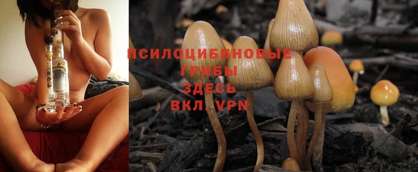 Альфа ПВП Балахна