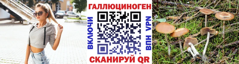 Галлюциногенные грибы Cubensis мориарти как зайти Новотитаровская